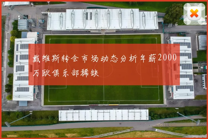 戴维斯转会市场动态分析年薪2000万欧俱乐部稀缺