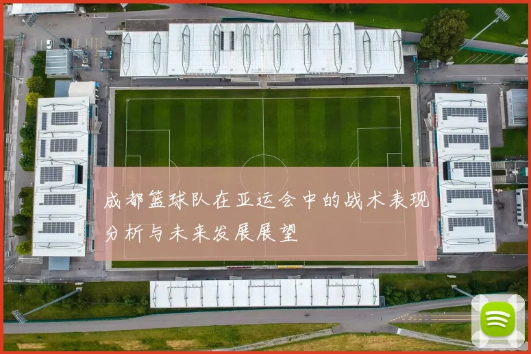 成都篮球队在亚运会中的战术表现分析与未来发展展望