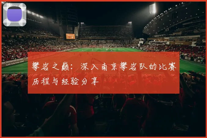 攀岩之巅：深入南京攀岩队的比赛历程与经验分享